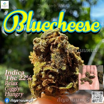 Bluecheesebud