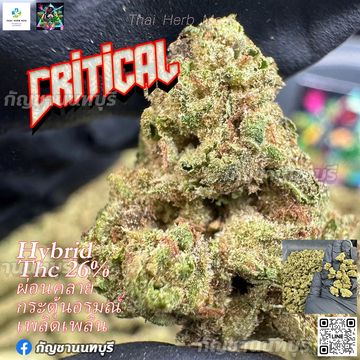 Critical