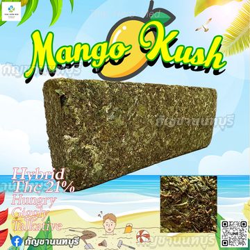 Mangokush