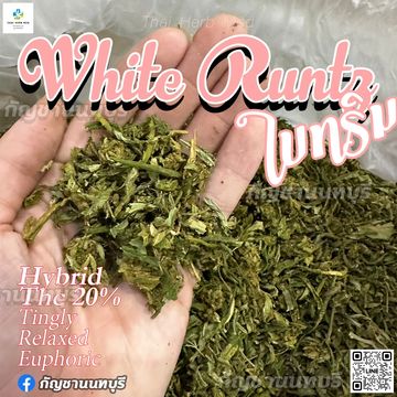 White Runtz ใบทริม Og