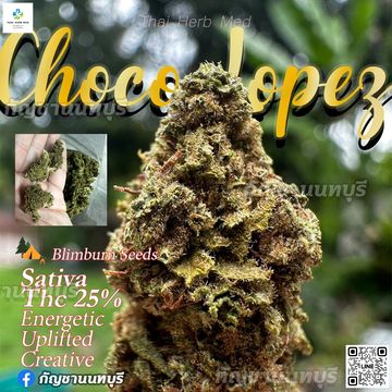 Chocolate Lopez