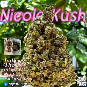 Nicole Kush