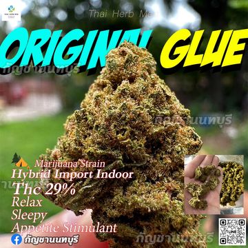 Original glue