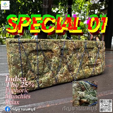 Special01