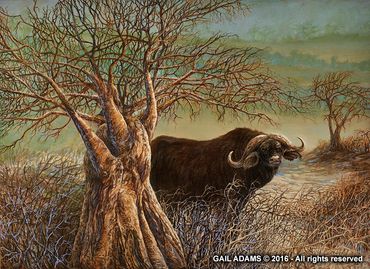 Cape Water Buffalo standing beside a tree
