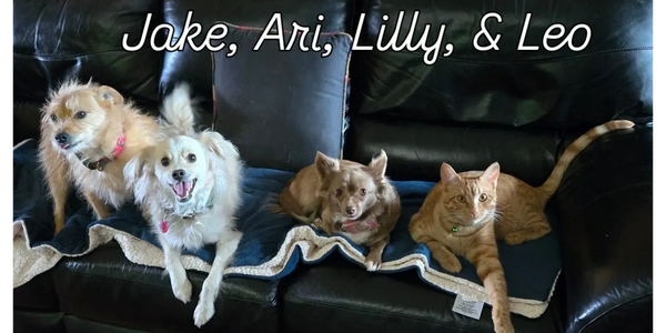 Chappel Pets, Jake, Ari, Lilly and Leo
