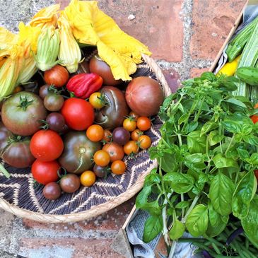 vegetables, grow your own, veg patch, tomatoes, basil, courgette