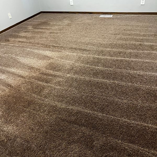 Carpet Cleaning Near Me