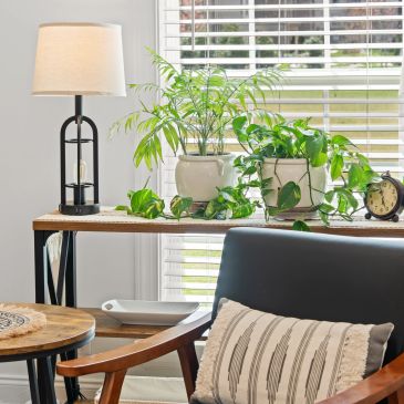 Cozy living space with plants and a lamp.
