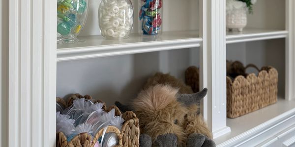 ESA for Spravato- a weighted Highland Cow named Charlie 