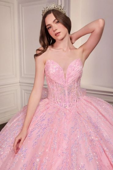 Young woman in a pink ball gown and tiara.