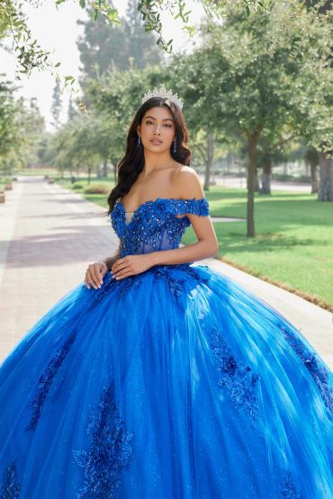 Woman in a stunning blue ball gown outdoors.