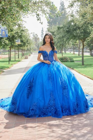 Woman in a royal blue ball gown outdoors.
