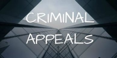 michigan criminal overturn conviction best appeal appellate lawyer attorney affordable payment plan