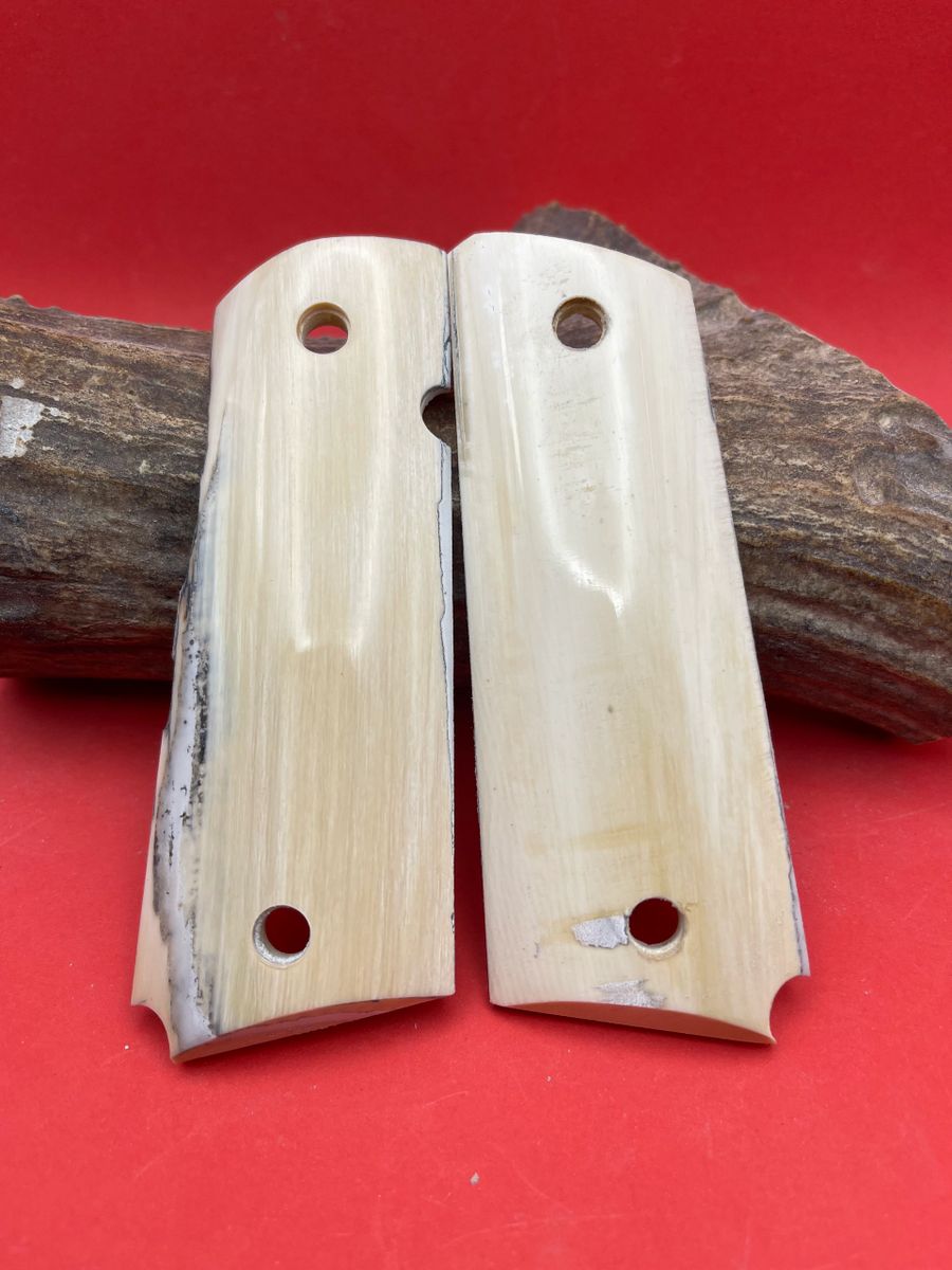 1911 mammoth ivory grips