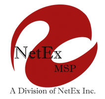 NetEx MSP