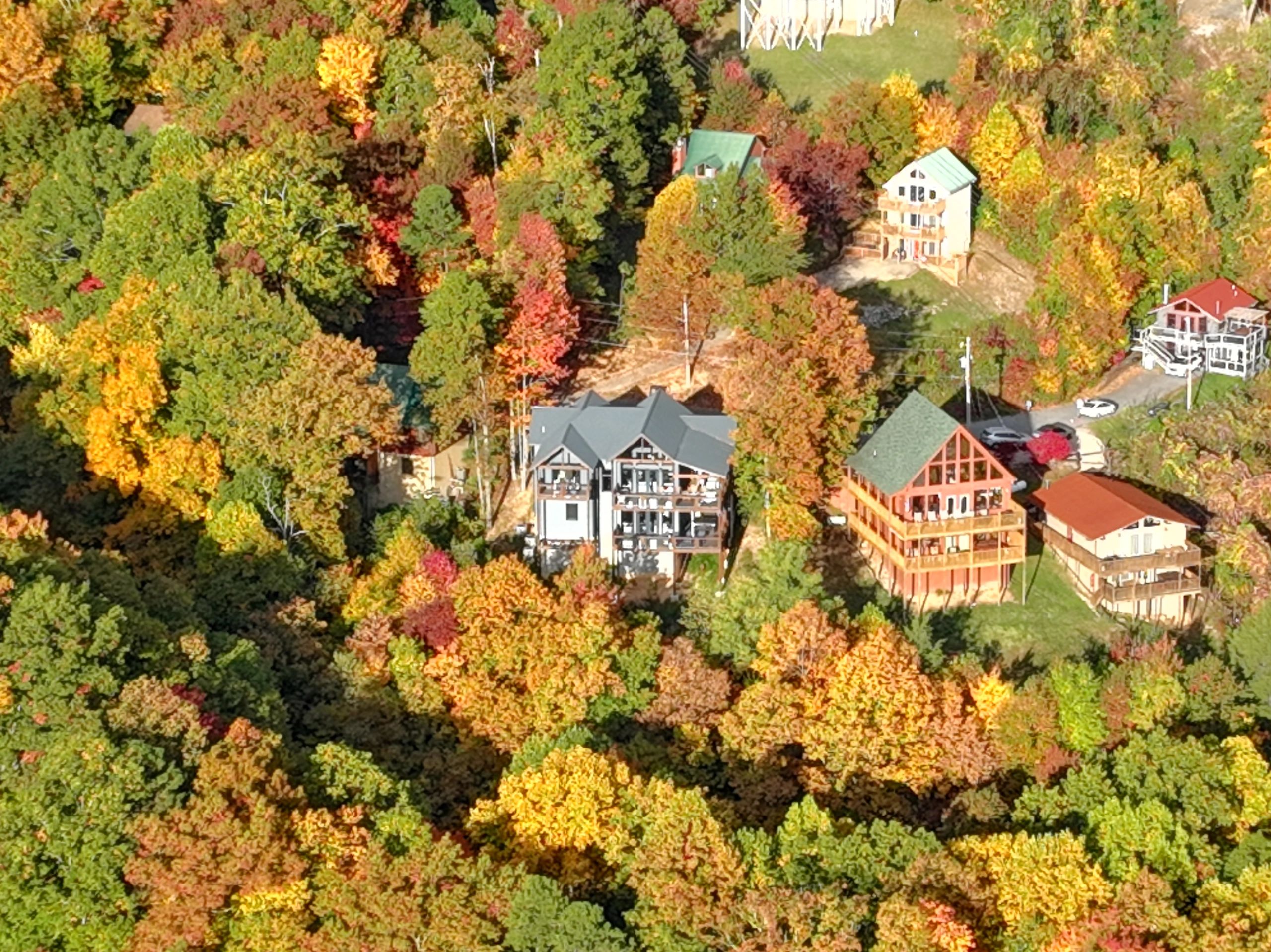 Colorful autumn trees surround houses in a vibrant forested area.