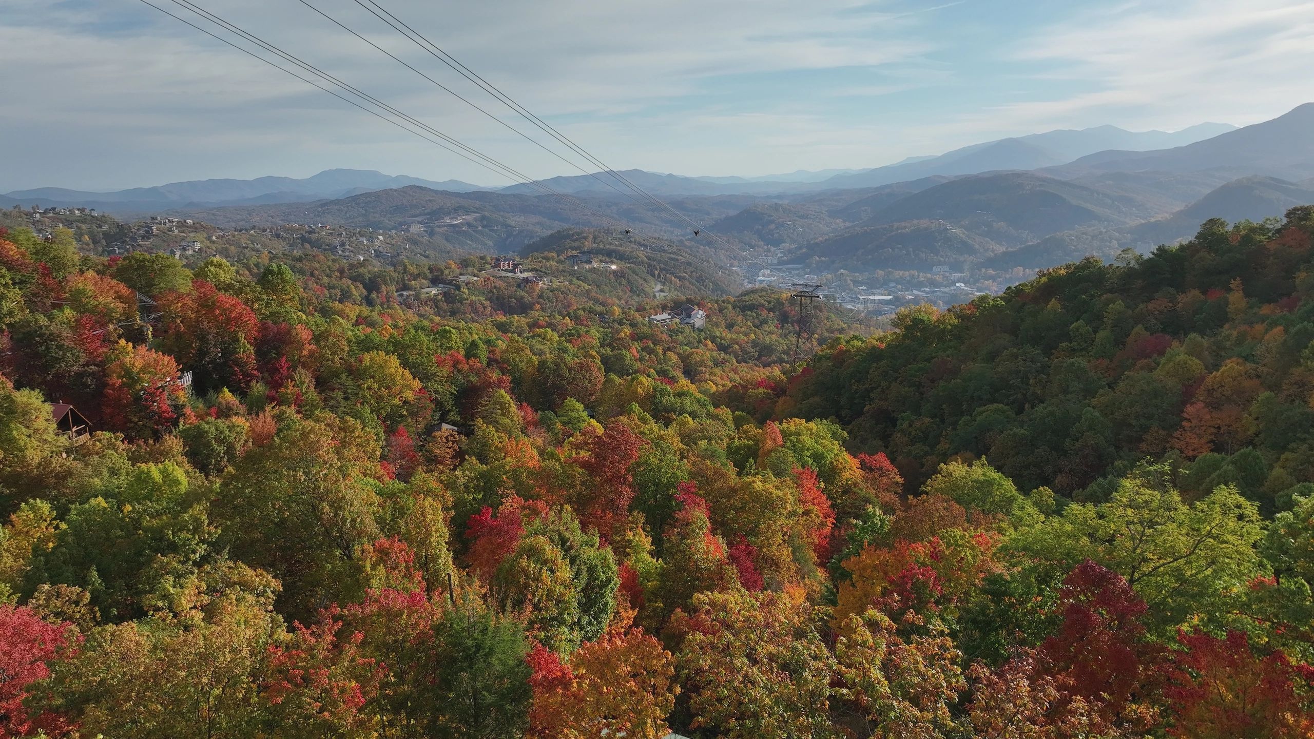 Colorful autumn forest in mountainous landscape with zip lines.