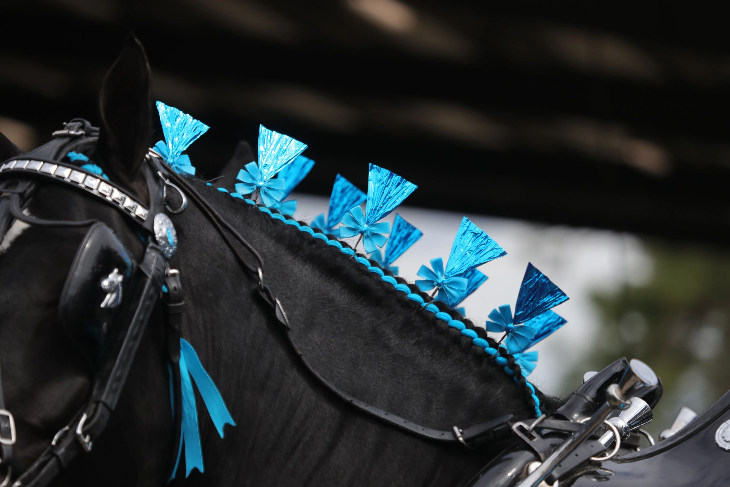 Elite Horse Decorations Horse Decorations, Mane Rolls