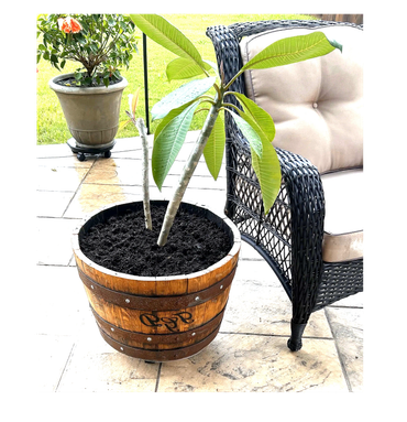 Personalized 1/2 barrel patio planter with plumeria.