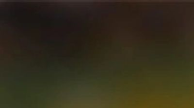 pigeon, starling, and sparrow hanging out