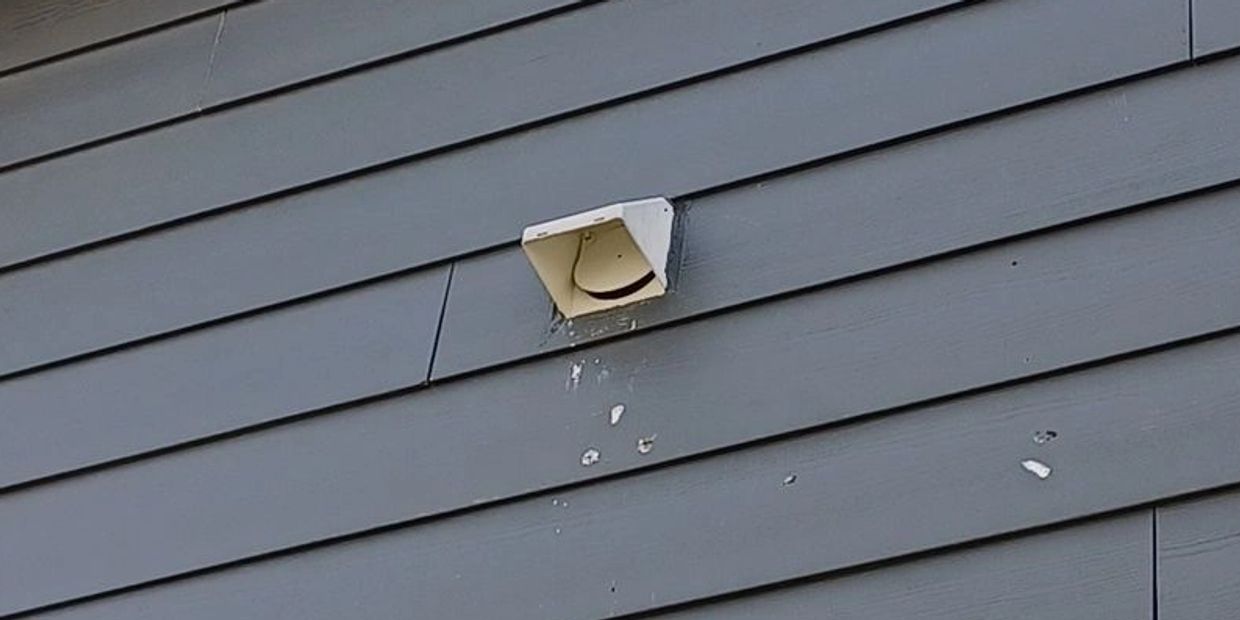 bird droppings coming down from a dryer vent in waukee