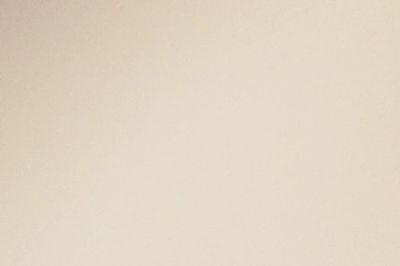 bat hanging on siding of a house in pleasant hill iowa