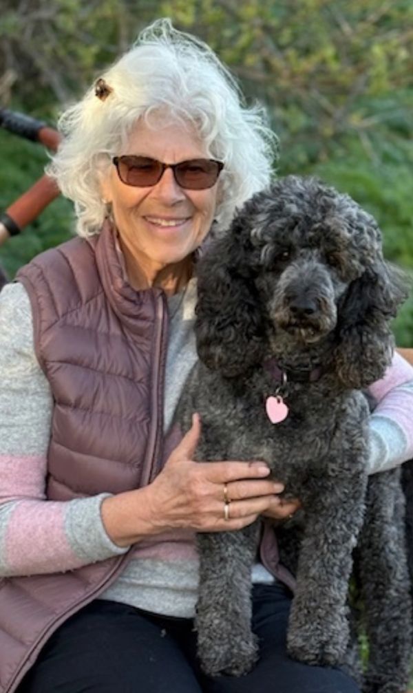 Moyen Poodle Elle service dog