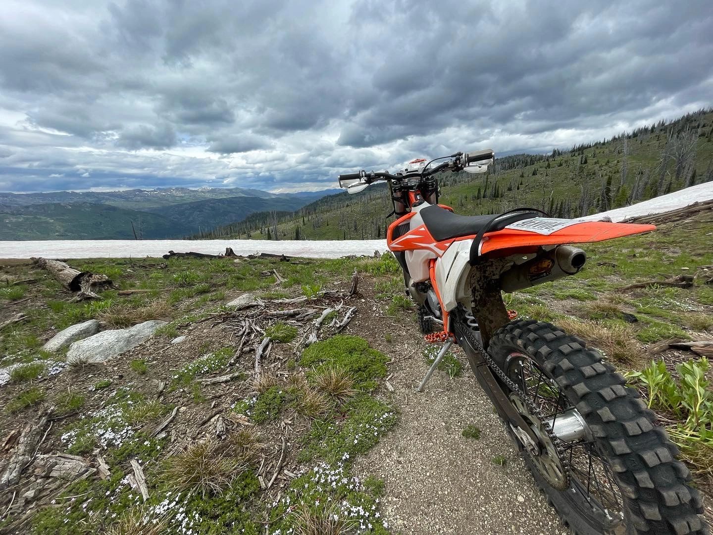 Fish Motorcycle About | Fish Moto