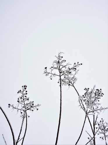 photo by Claire Chablis - "Minimalism"