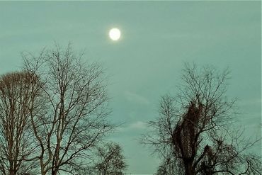 photo by Claire Chablis - "Full Moon"