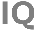 IQ Gantt Services