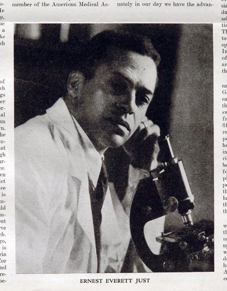 Ernest Everett Just, Biologist and Academic