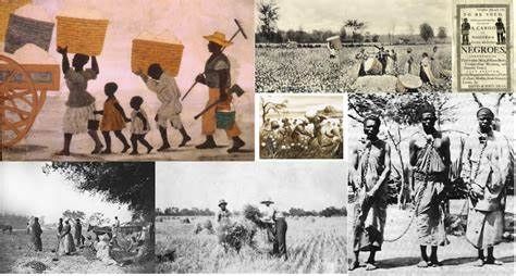Numerous portraits of scenes from slavery