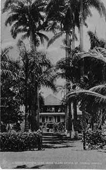 Sugar Plantation on Serge Island, Jamaica