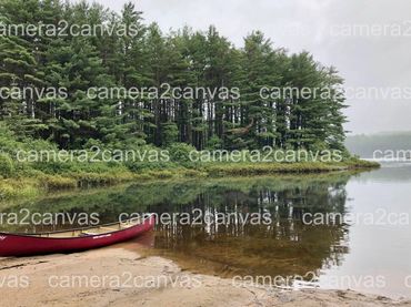 canoe lake forest water beach shore calm serene outdoors nature 