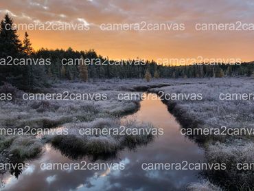 stream frost nature forest Algonquin calm serene