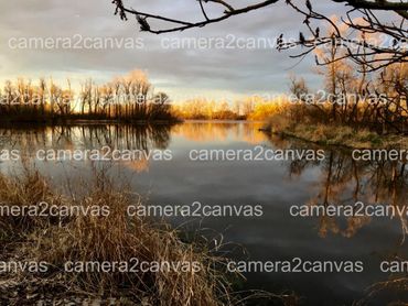 nature water outdoor calm creek 