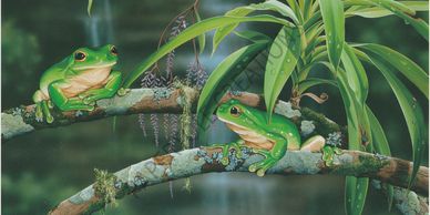 Waterfall Lookout by Natalie Jane Parker