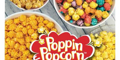 Gourmet popcorn fundraiser brochure
