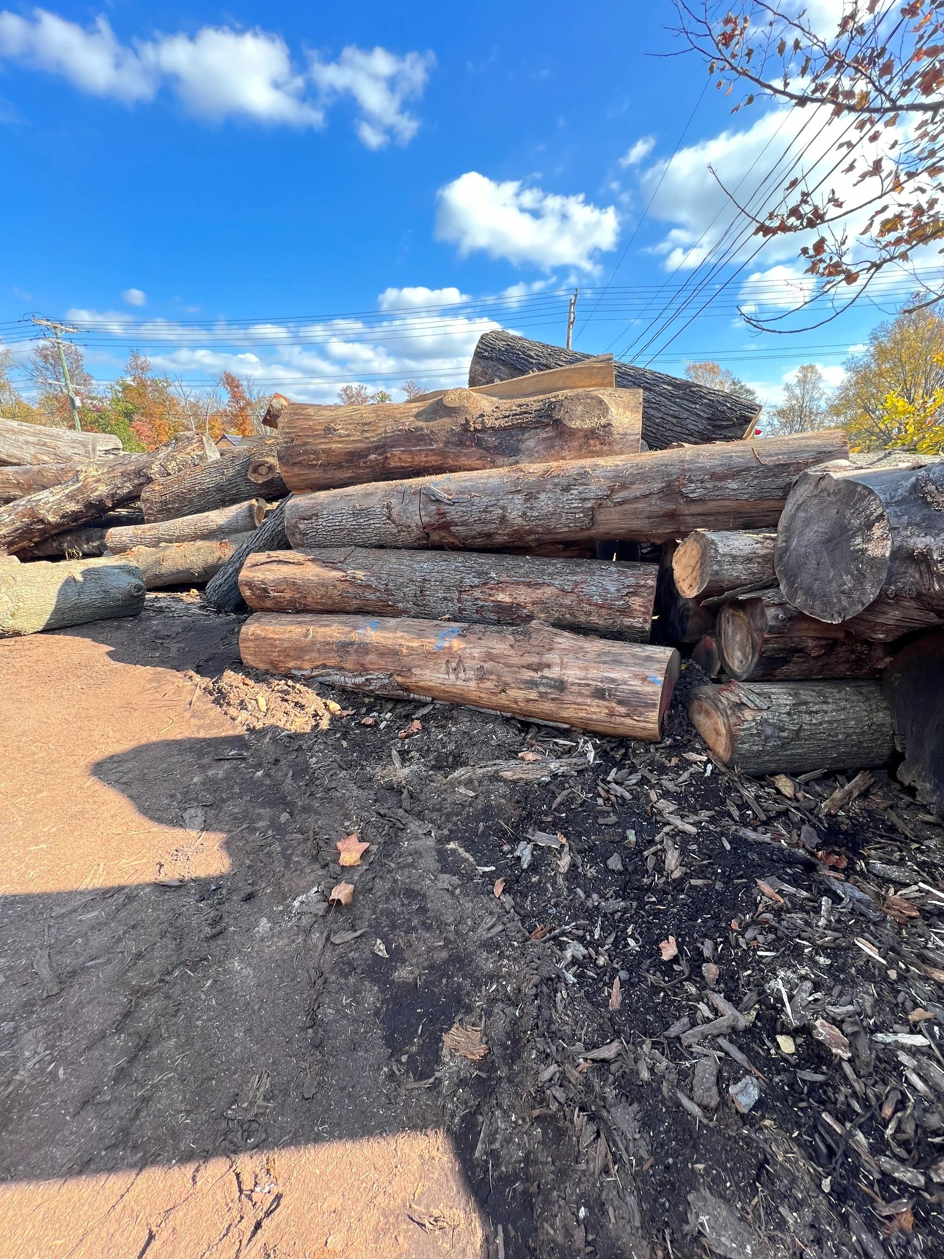 Smith Forest Products LLC