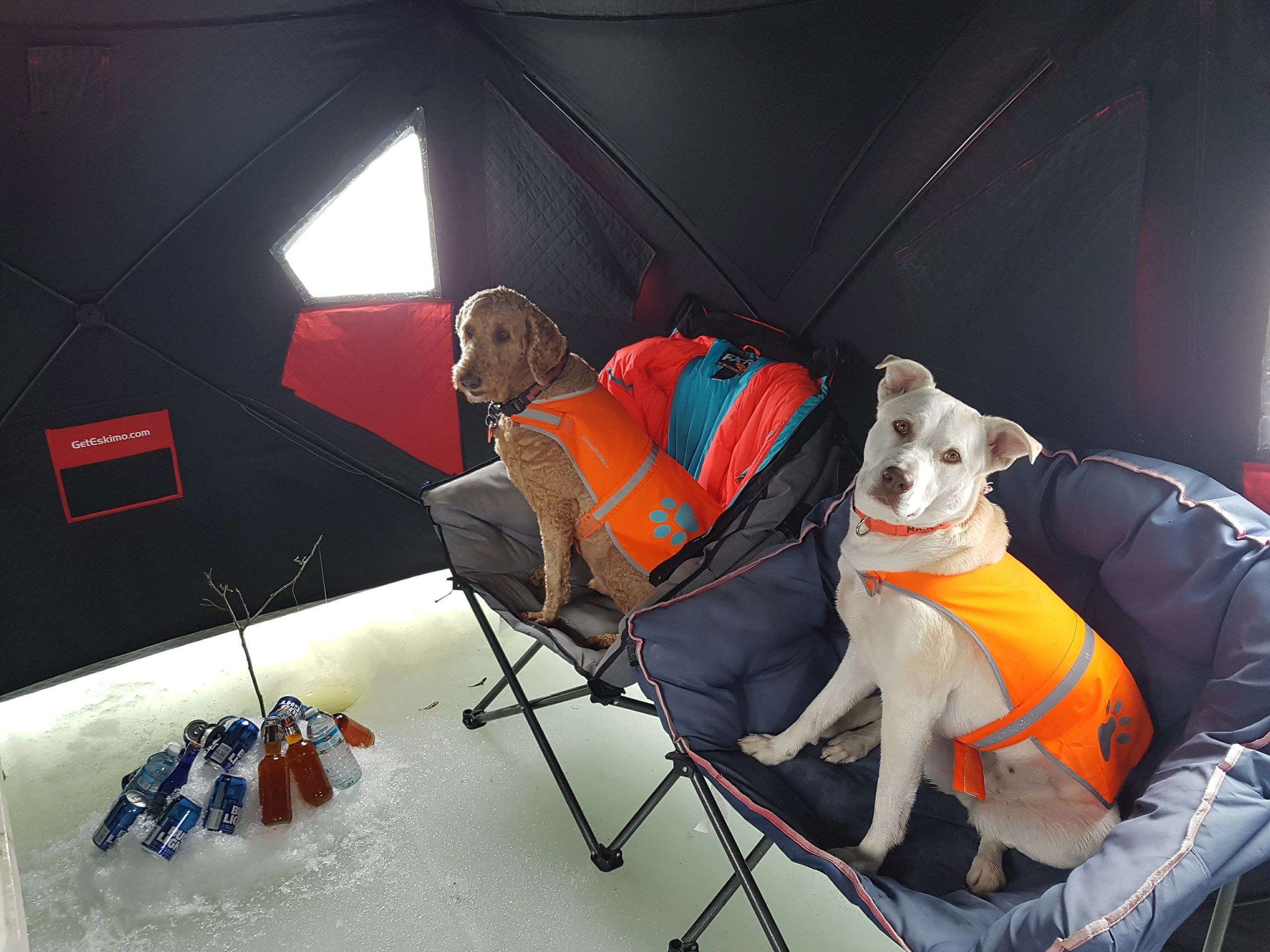 Kim Benji S Mojo Story