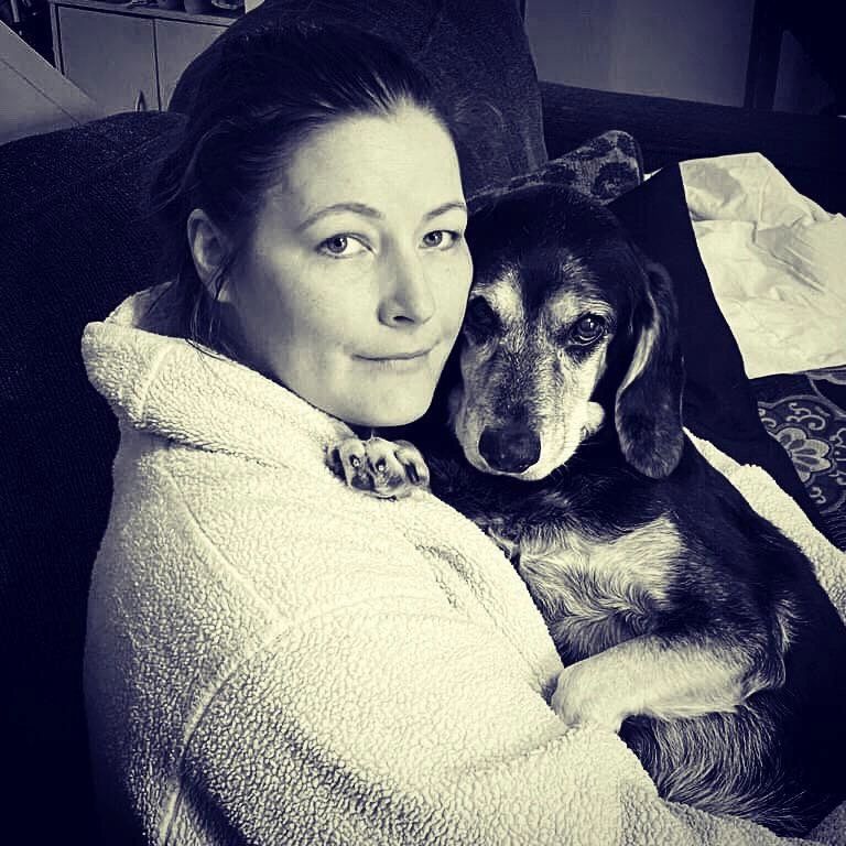 mojo pet supplements