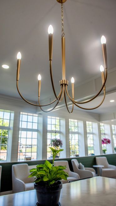 Modern chandelier with lit bulbs above a potted plant in a bright room.