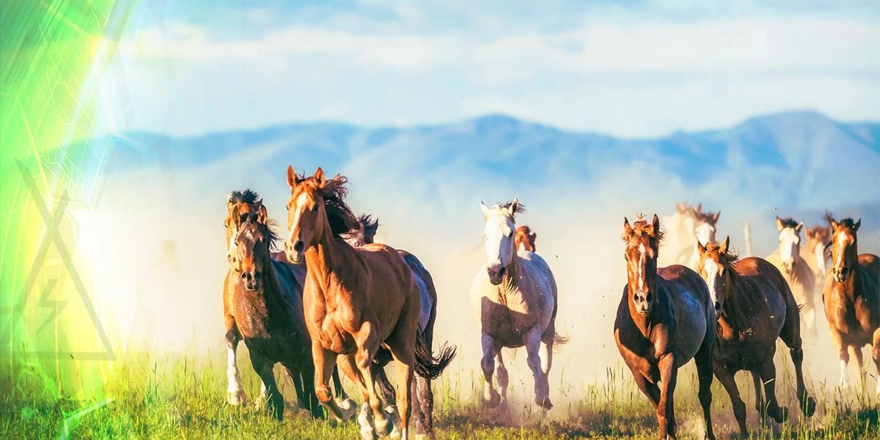 A herd of horses galloping across a grassy field with mountains in the background.
