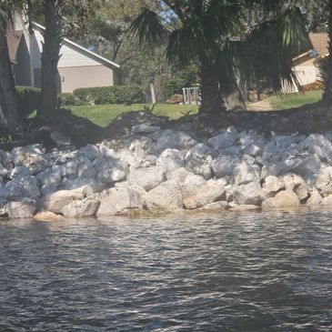 Rocky shoreline with trees and houses in the background by a calm water body.