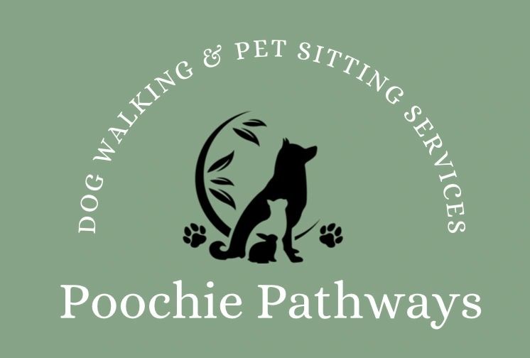 Dog walking and pet sitting hotsell near me