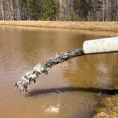 Fish being stocked from a pipe into a muddy pond by a forest edge.