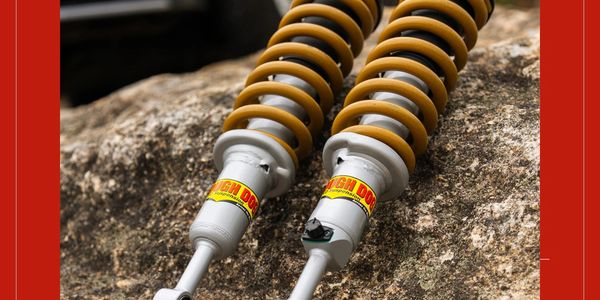 Toug Dog Strut and spring assemblies