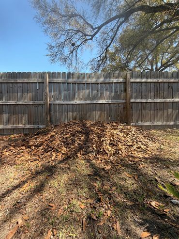 A large pile of dry leaves near a wooden fence under a tree.